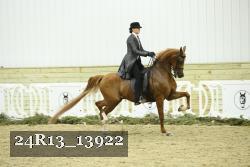 24R13_13922 thumbnail