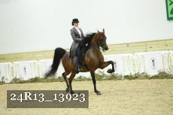 24R13_13923 thumbnail