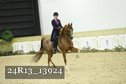 24R13_13924 thumbnail