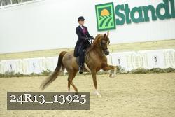 24R13_13925 thumbnail