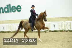 24R13_13926 thumbnail