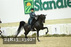 24R13_13927 thumbnail