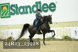 24R13_13928 thumbnail