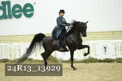 24R13_13929 thumbnail