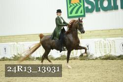 24R13_13931 thumbnail