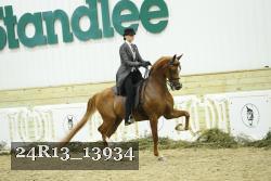 24R13_13934 thumbnail
