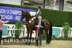 24R13_13944 thumbnail