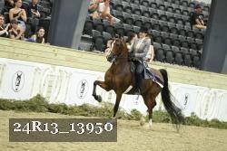 24R13_13950 thumbnail