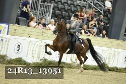 24R13_13951 thumbnail