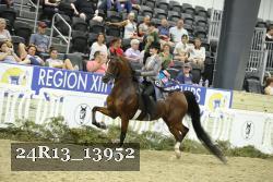 24R13_13952 thumbnail