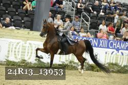 24R13_13953 thumbnail