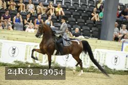 24R13_13954 thumbnail