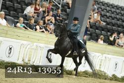24R13_13955 thumbnail