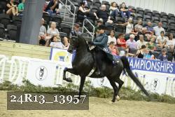 24R13_13957 thumbnail