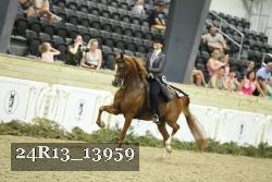 24R13_13959 thumbnail