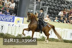 24R13_13960 thumbnail