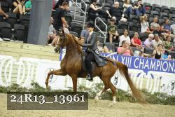 24R13_13961 thumbnail