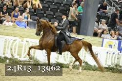 24R13_13962 thumbnail