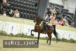 24R13_13967 thumbnail