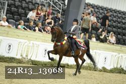 24R13_13968 thumbnail