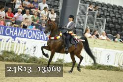 24R13_13969 thumbnail