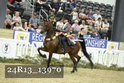 24R13_13970 thumbnail