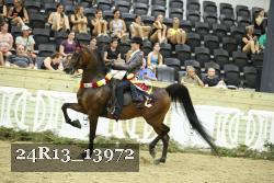 24R13_13972 thumbnail