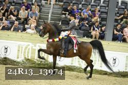 24R13_13974 thumbnail