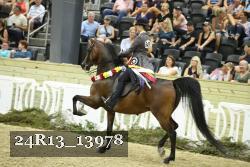 24R13_13978 thumbnail
