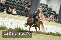 24R13_13980 thumbnail