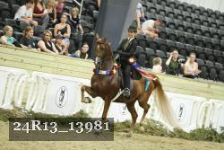 24R13_13981 thumbnail