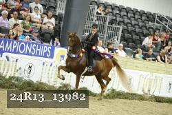 24R13_13982 thumbnail