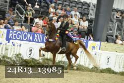 24R13_13985 thumbnail