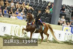 24R13_13986 thumbnail