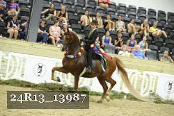 24R13_13987 thumbnail