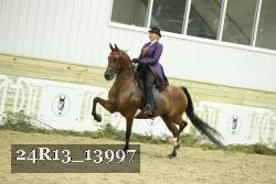 24R13_13997 thumbnail