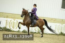24R13_13998 thumbnail