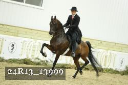 24R13_13999 thumbnail