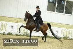 24R13_14000 thumbnail