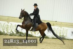 24R13_14001 thumbnail