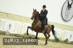 24R13_14002 thumbnail