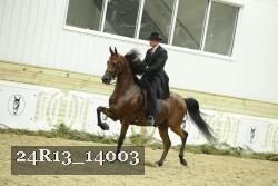 24R13_14003 thumbnail