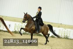24R13_14006 thumbnail