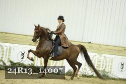 24R13_14007 thumbnail