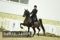 24R13_14008 thumbnail