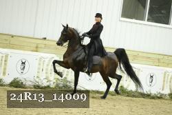 24R13_14009 thumbnail