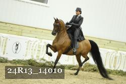 24R13_14010 thumbnail