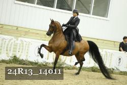 24R13_14011 thumbnail