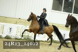 24R13_14012 thumbnail