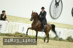 24R13_14013 thumbnail